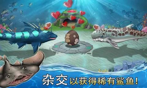 鯊魚世界