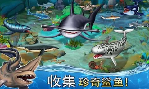 鯊魚世界