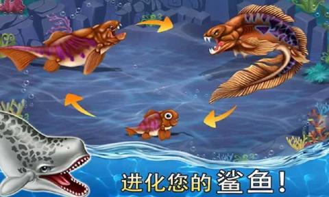 鯊魚世界