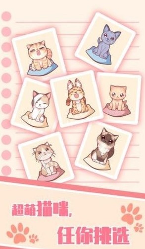 貓咪養(yǎng)成云擼貓