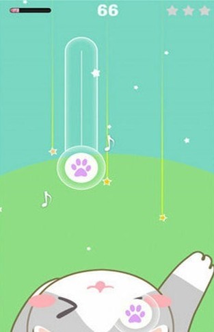 貓咪鋼琴方塊