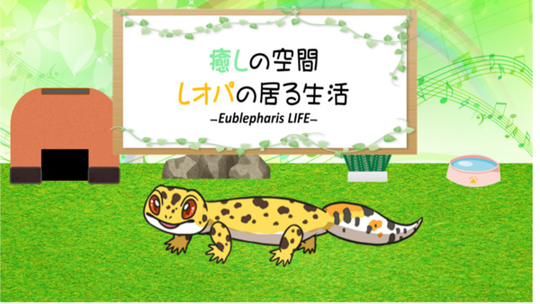 守宮的治愈小屋
