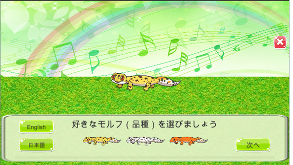 守宮的治愈小屋