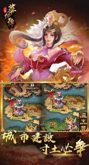 三國華佗傳