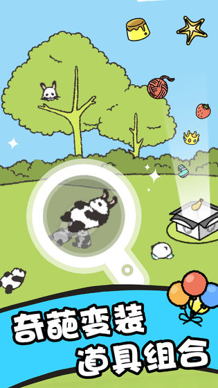熊貓森林