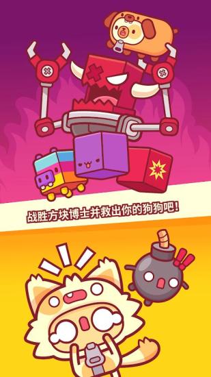 皮皮貓