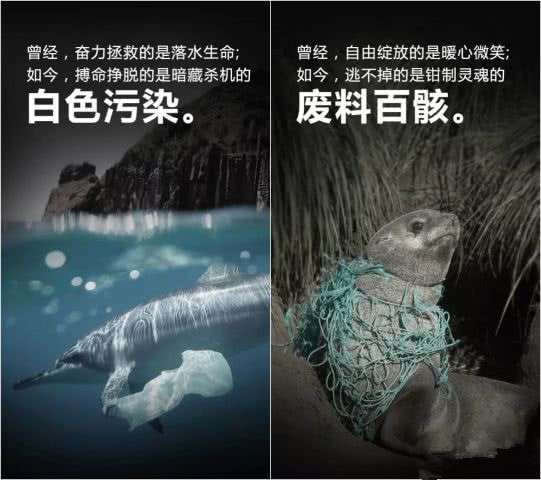 守護這片海