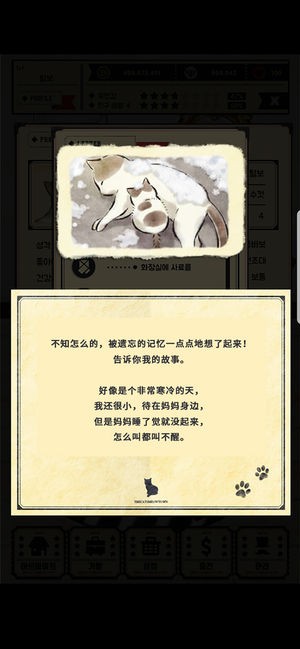 貓咪天堂