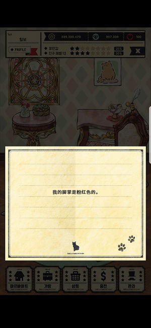 貓咪天堂