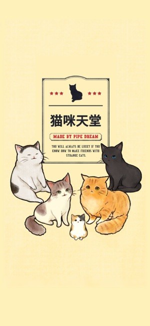 貓咪天堂