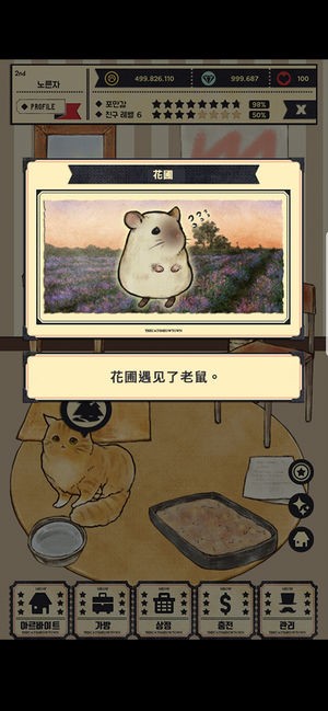 貓咪天堂
