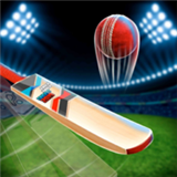 瘋狂板球比賽