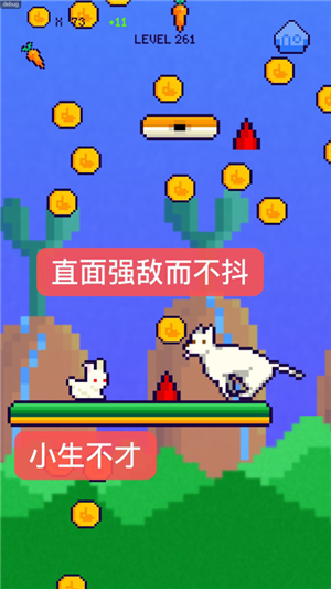恩愛(ài)兔