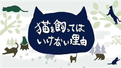 不能養貓的理由