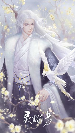 靈貓傳
