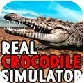 真正的鱷魚模擬器