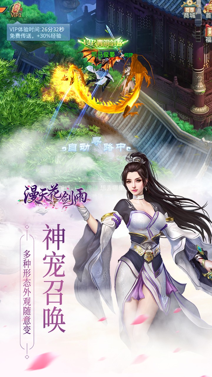 漫天花劍雨 果盤版