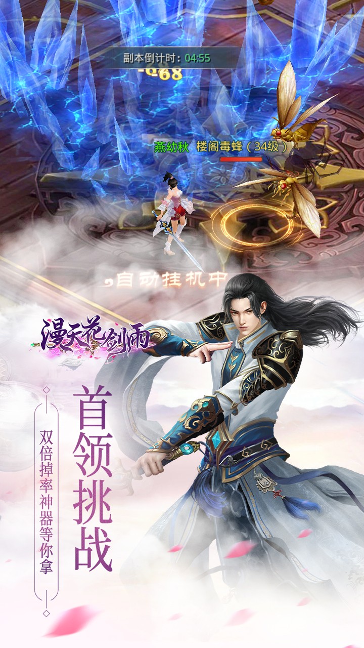 漫天花劍雨 果盤版