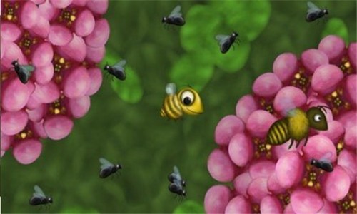 愛吃花蜜的小蟲子