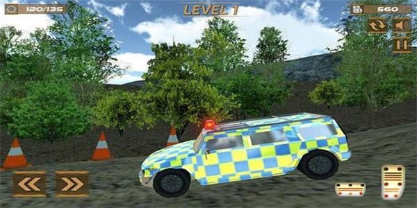極端警察汽車