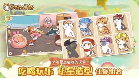 貓?zhí)靥m蒂斯 官方版