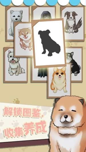 狗狗派對
