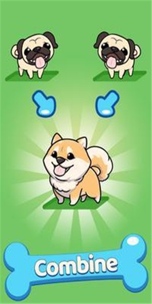 合并犬