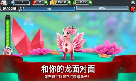 龍之馴獸師