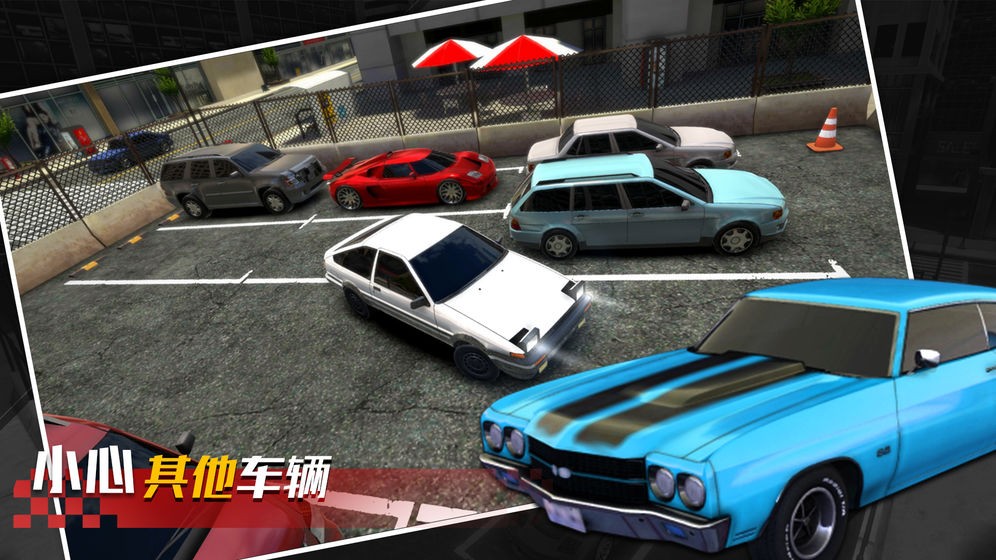 真實(shí)停車高手