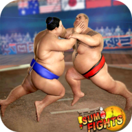 胖子的摔跤術(shù)