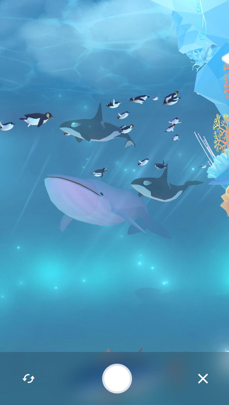 深海水族館極地