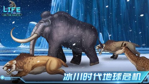 生命簡史