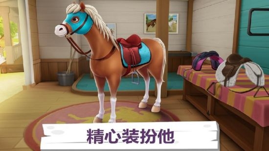 我的賽馬故事