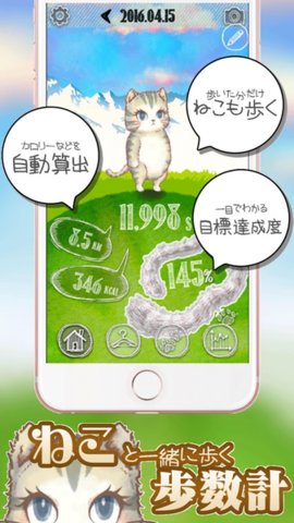 和貓咪散步