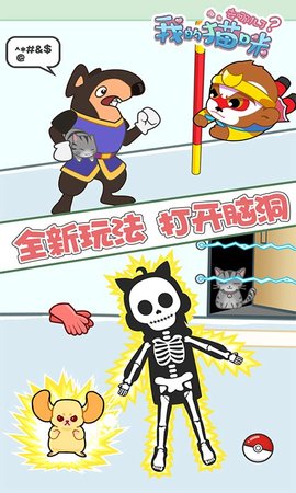 我的貓咪去哪兒了