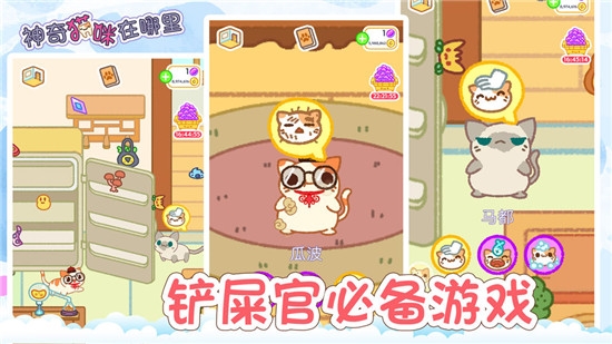 神奇貓咪在哪里