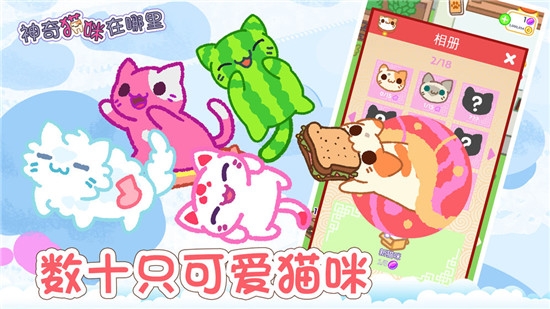 神奇貓咪在哪里