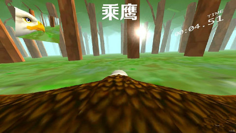 老鷹飛行模擬