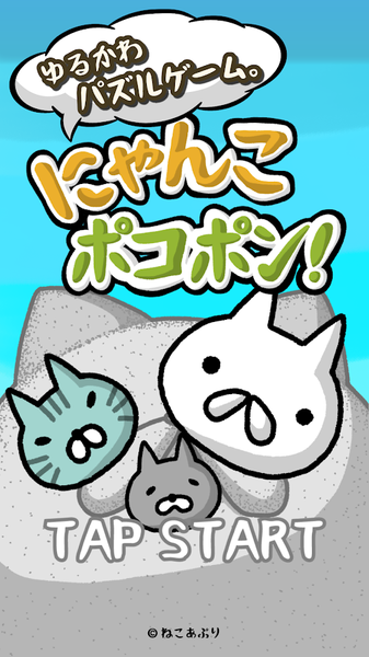 喵喵圓滾滾