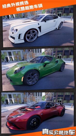 真實(shí)公路汽車2020