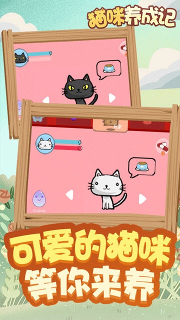 貓咪養(yǎng)成記