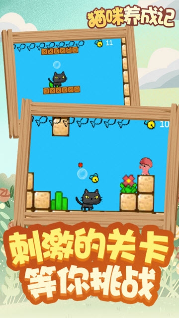 貓咪養(yǎng)成記