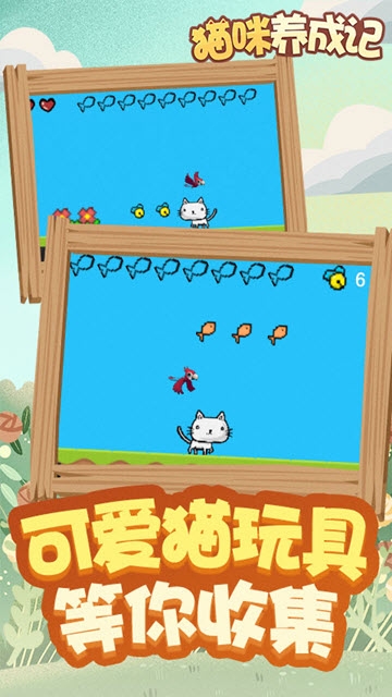 貓咪養(yǎng)成記