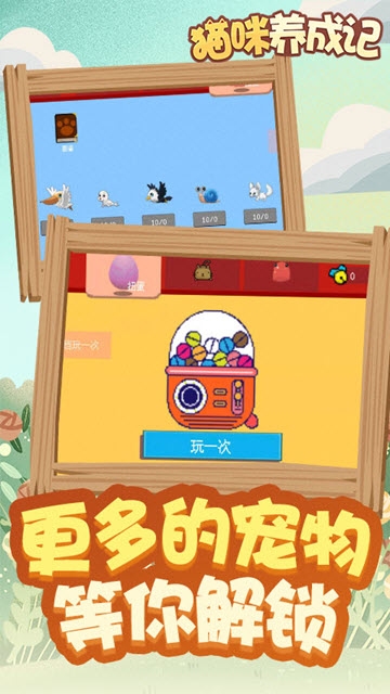 貓咪養(yǎng)成記