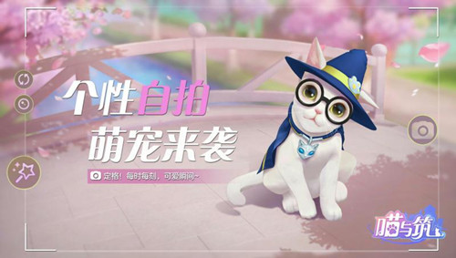喵與筑 臺服