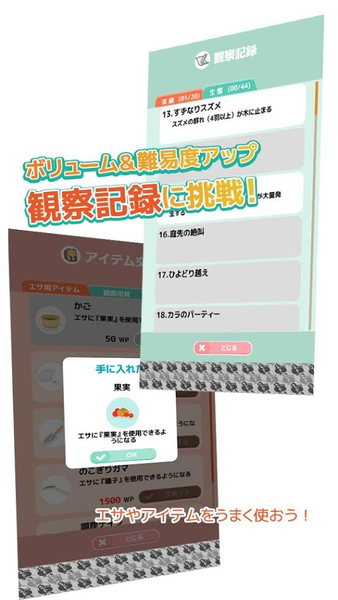 小鳥觀察2