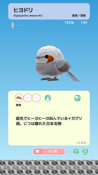 小鳥觀察2