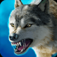 森林狼王模擬器