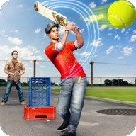 街頭板球錦標賽2019