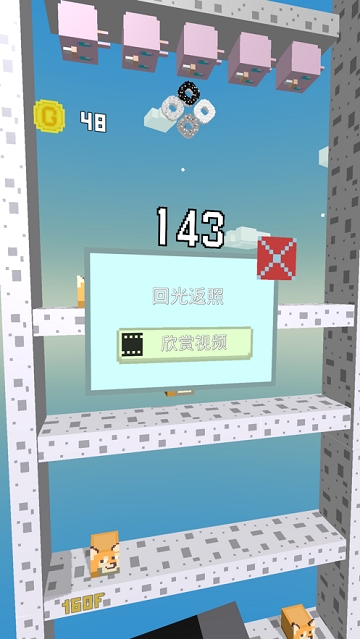 二哈下樓記